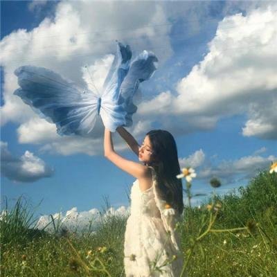 超级救援狗